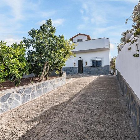 Raices Vivas Vivienda Vacacional Vega de San Mateo Eksteriør bilde